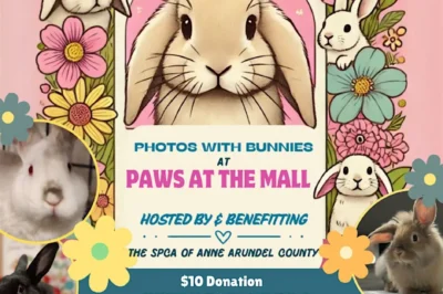 Spring Into Paws: Bunny Photos!