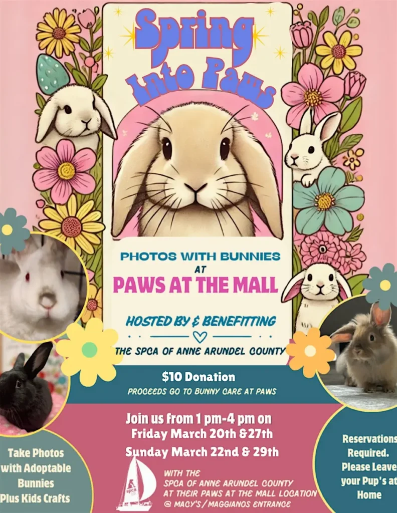 Spring Into Paws: Bunny Photos!