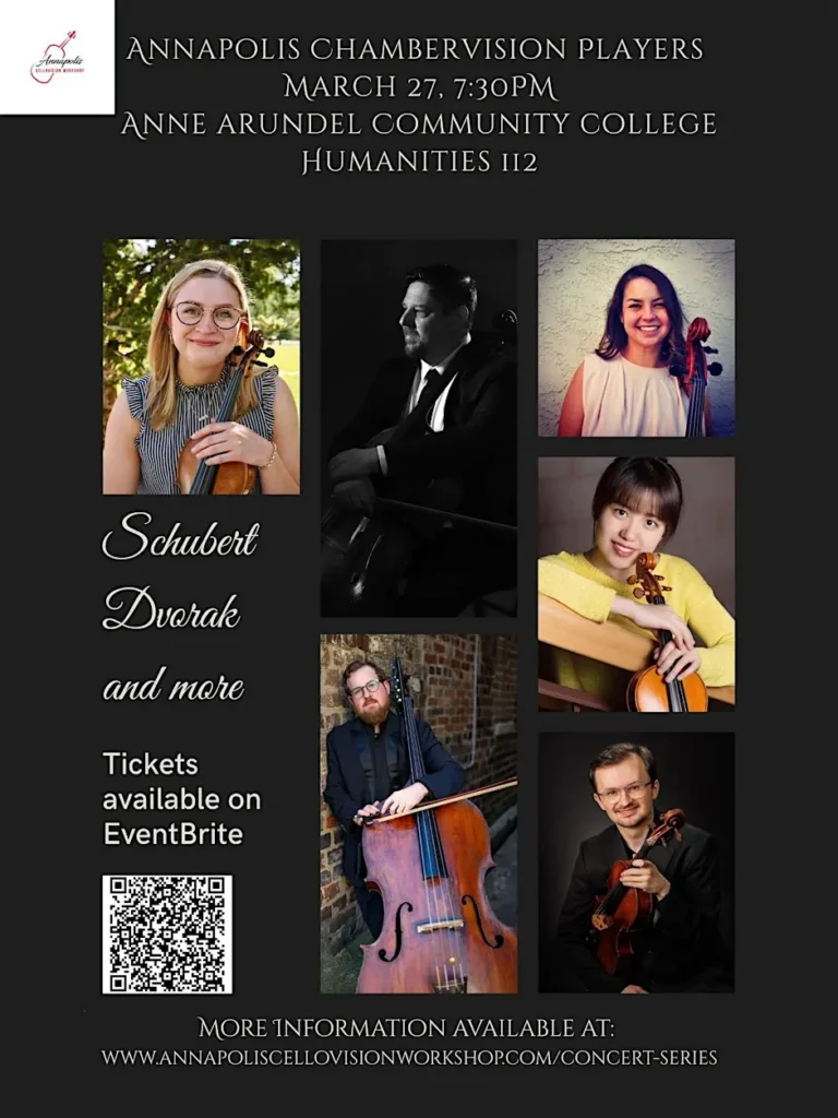 The Chambervision Players