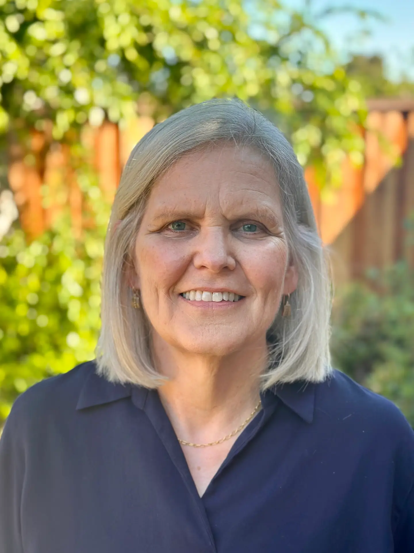 Crafting the Golden Age: The Architectural World of Pre-Revolutionary Annapolis