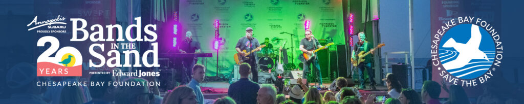 Bands in the Sand