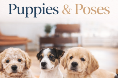 Puppies & Poses