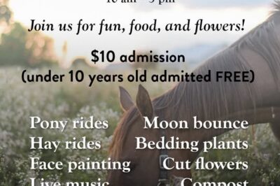 Spring Festival at the Farm