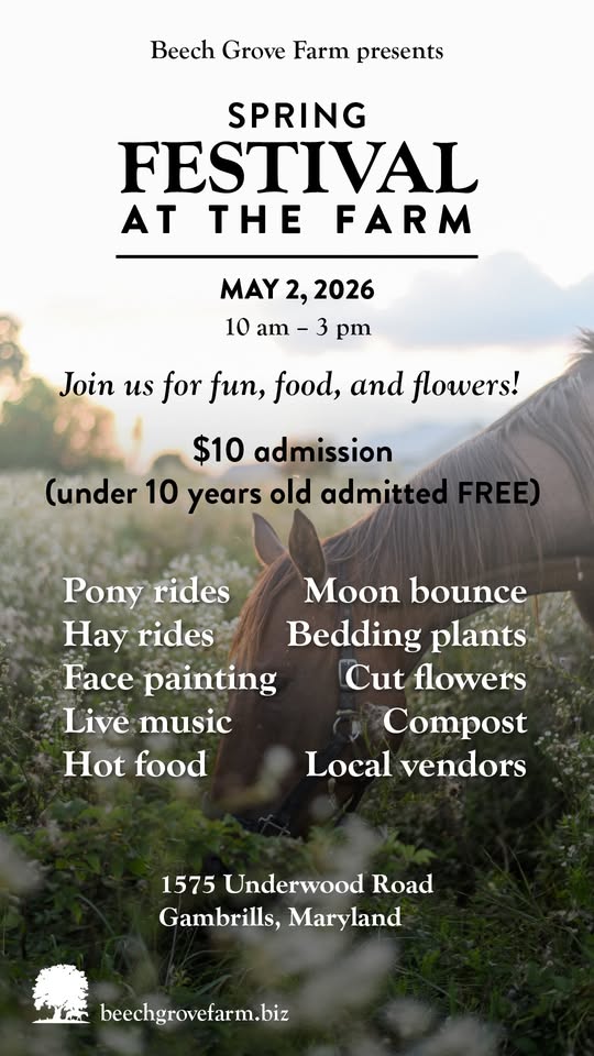 Spring Festival at the Farm