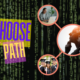 Choose your path image