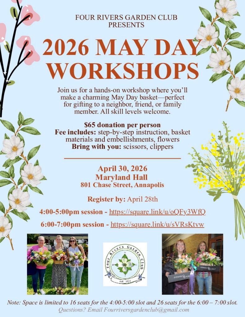 May Day Workshops