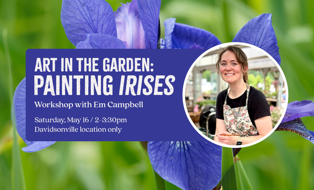 Art in the Garden: Irises
