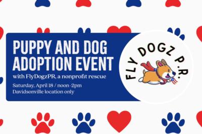Puppy and Dog Adoption Event