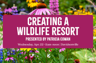 Create a Wildlife Resort in Your Own Backyard