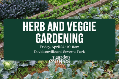 Herb and Veggie Gardening