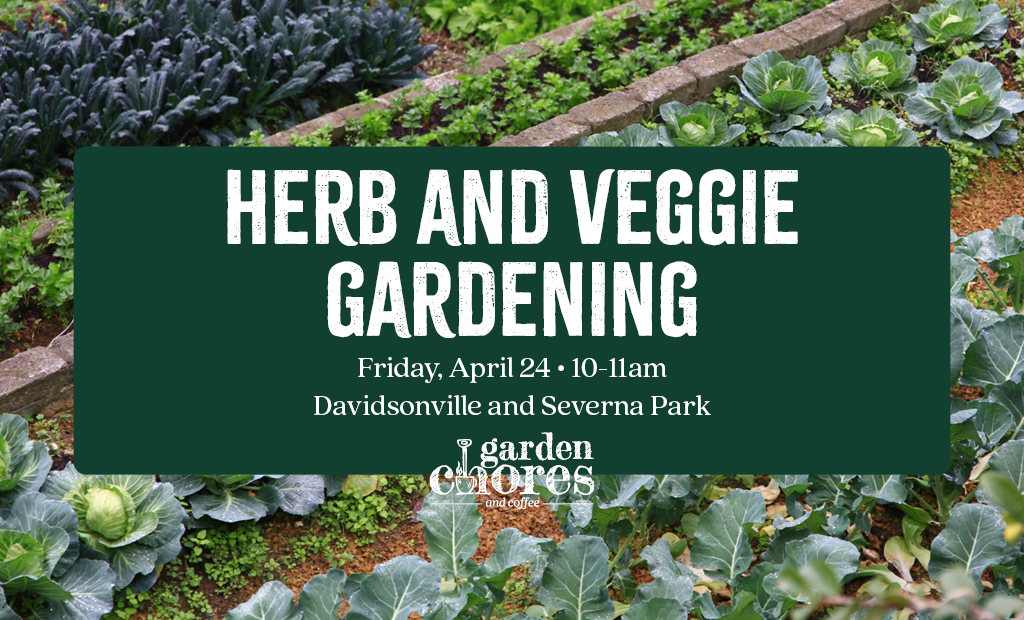 Herb and Veggie Gardening