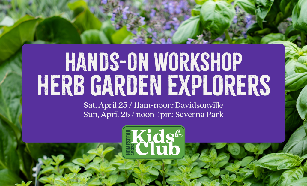 Kids' Club: Herb Garden Explorers