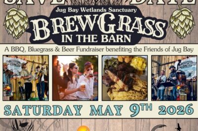 Brewgrass in the Barn
