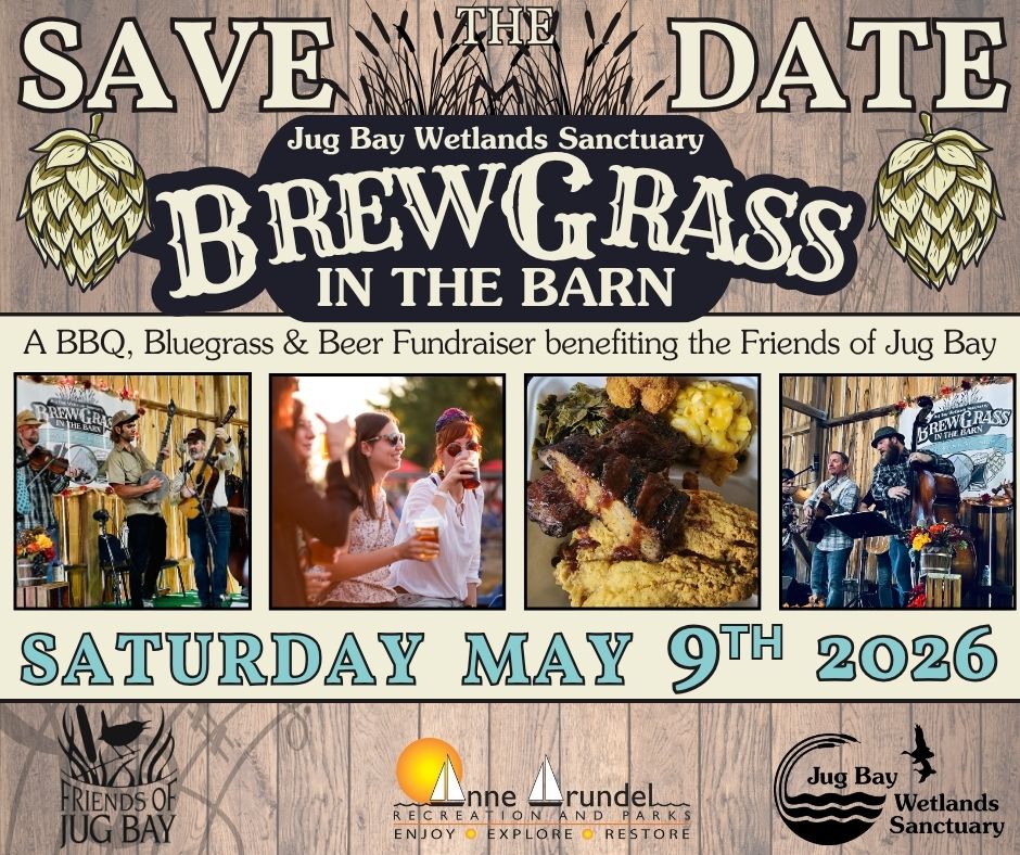 Brewgrass in the Barn