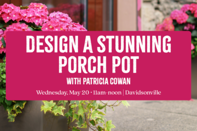 Design a Stunning Porch Pot