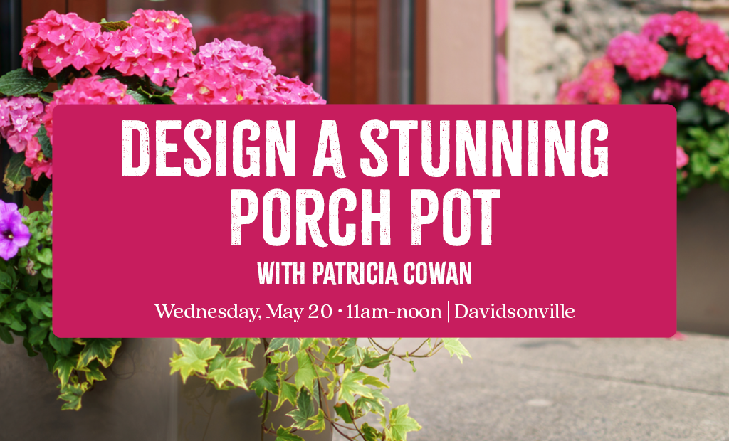 Design a Stunning Porch Pot
