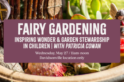 Fairy Gardening: Inspiring Wonder & Garden Stewardship in Children