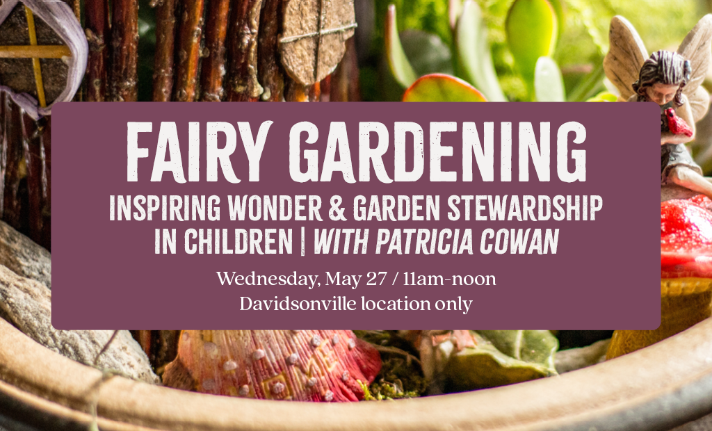 Fairy Gardening: Inspiring Wonder & Garden Stewardship in Children