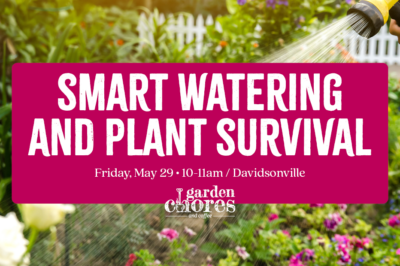 Garden Chores & Coffee: Keeping New Plantings Alive