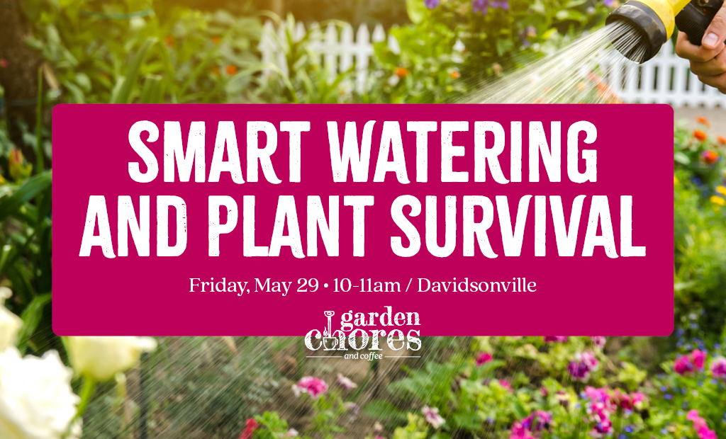 Garden Chores & Coffee: Keeping New Plantings Alive