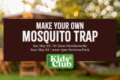 Mosquito Mission: Build a Mosquito Trap