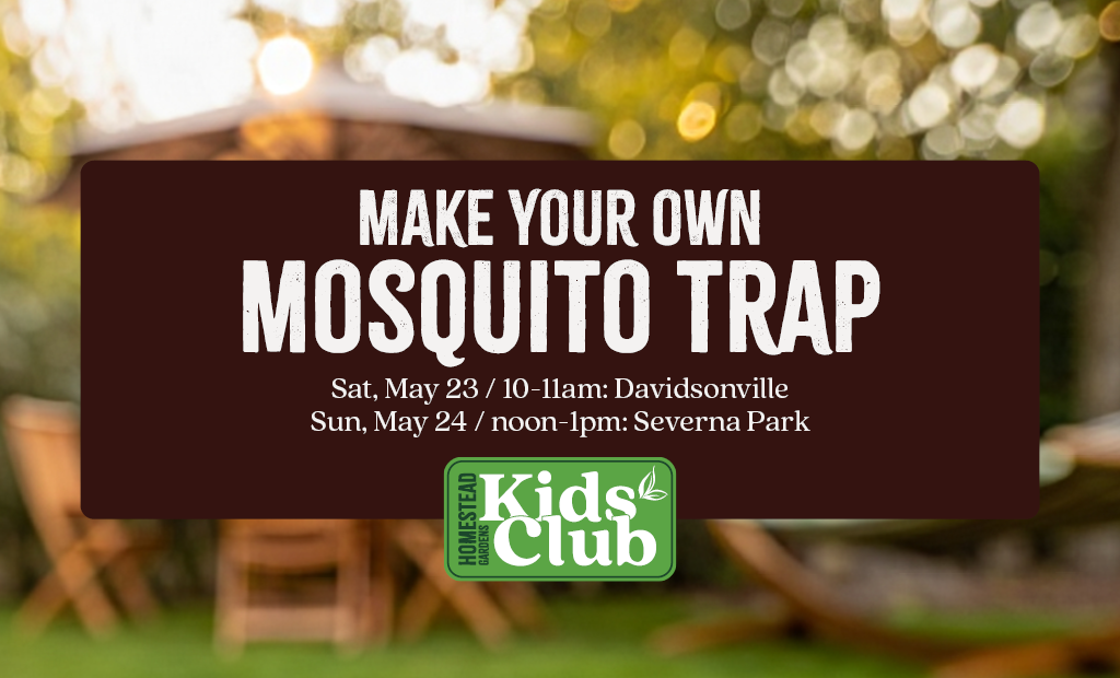 Mosquito Mission: Build a Mosquito Trap