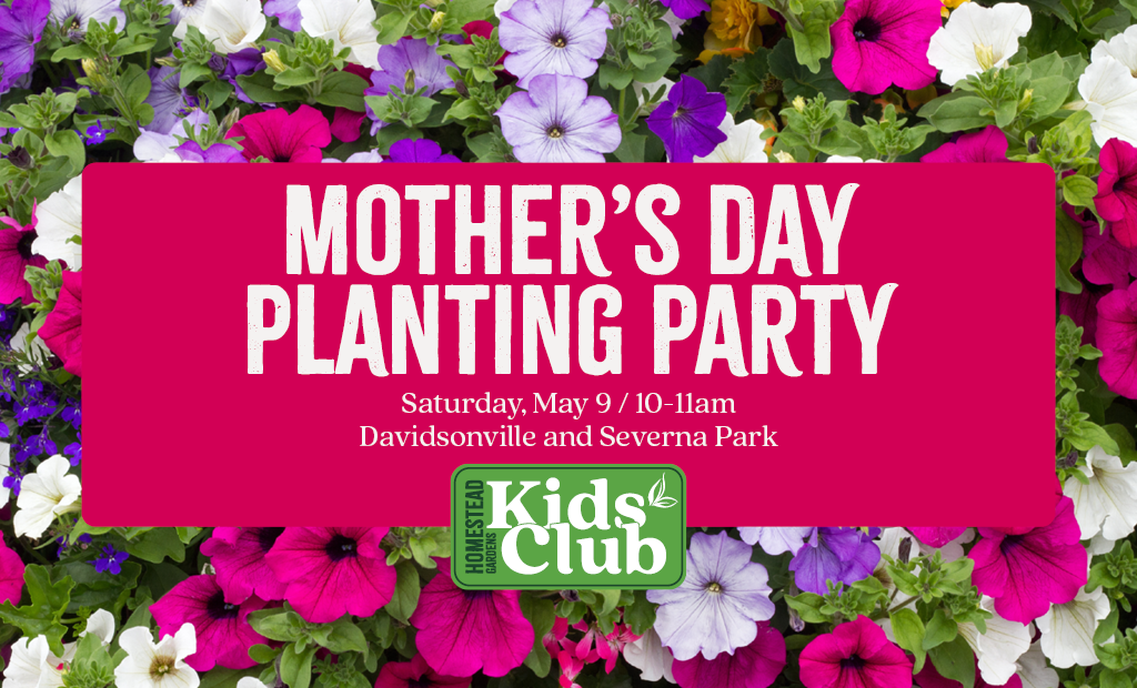 Mother's Day Planting Party