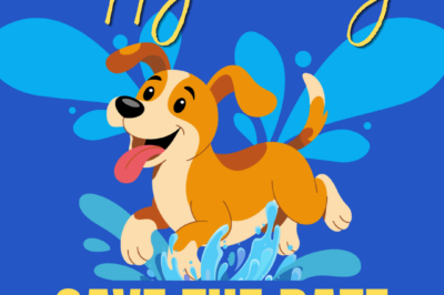 Puppy Plunge
