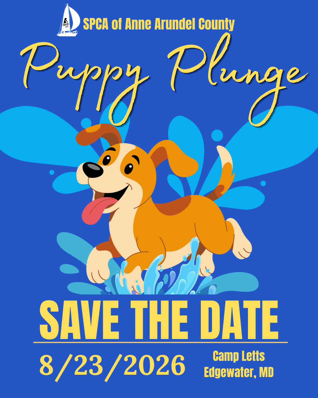 Puppy Plunge