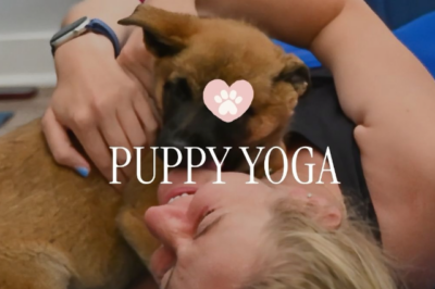 Puppy Yoga