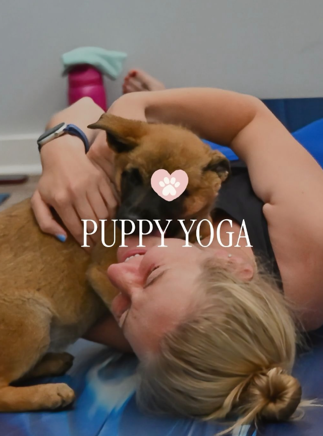 Puppy Yoga