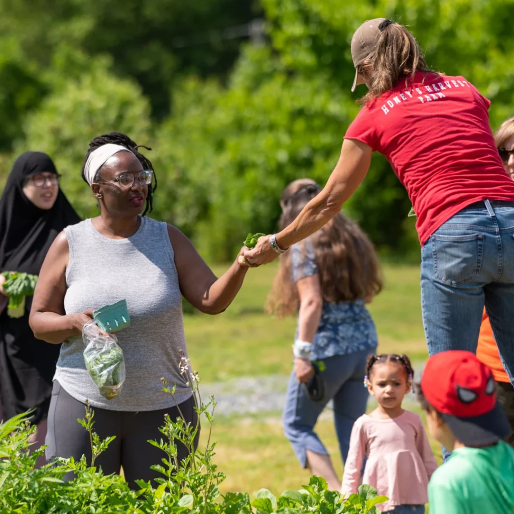 Berries and Greens Farm Tour