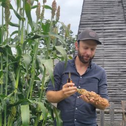 Out of the Weeds: Garden Maintenance