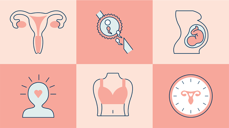Women's Wellness Day