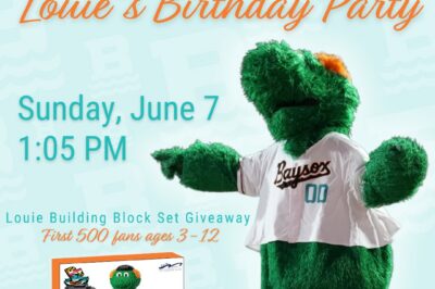 Louie's Birthday Party