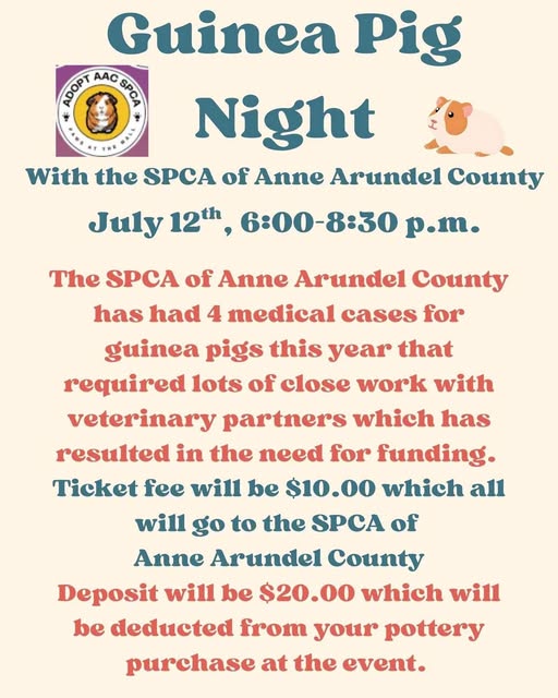 Guinea Pig Night