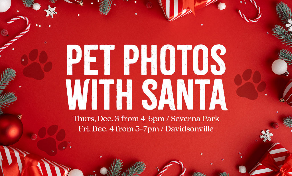 Pet Photos with Santa