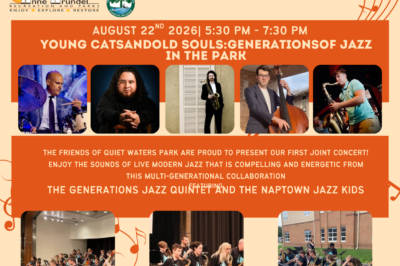 Quiet Waters Park Summer Concert Series: Young Cats and Old Souls
