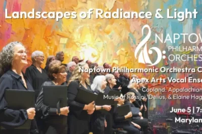 Landscapes of Radiance & Light