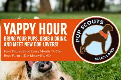 Yappy Hour with Pup Scouts MD