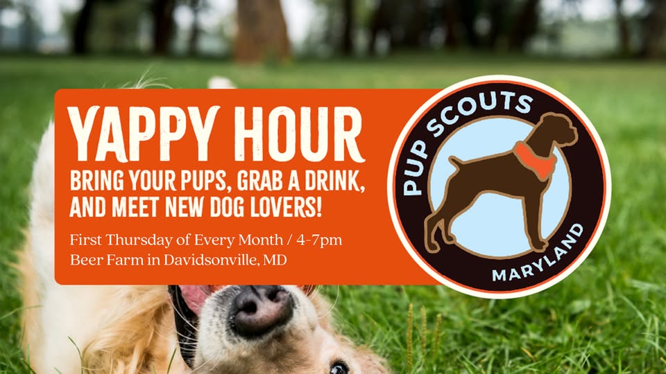 Yappy Hour with Pup Scouts MD