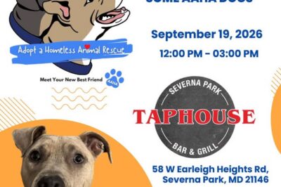 Yappy Hour