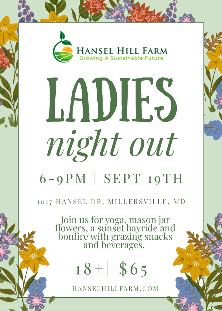 Ladies Night Out