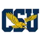 Navy Women's Volleyball vs Coppin State