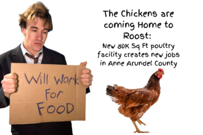 Guy holding sign looking at chicken