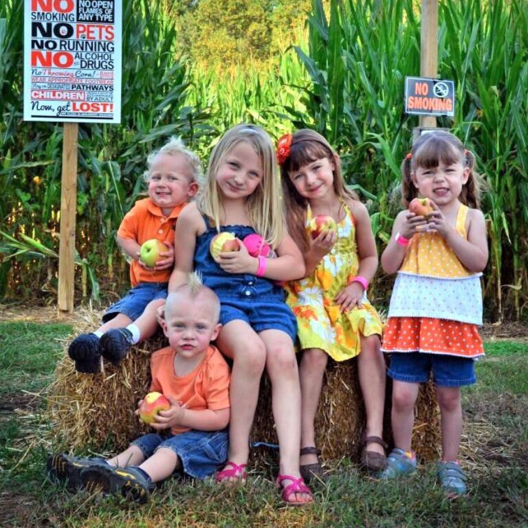 Greenstreet Gardens Fall Fest