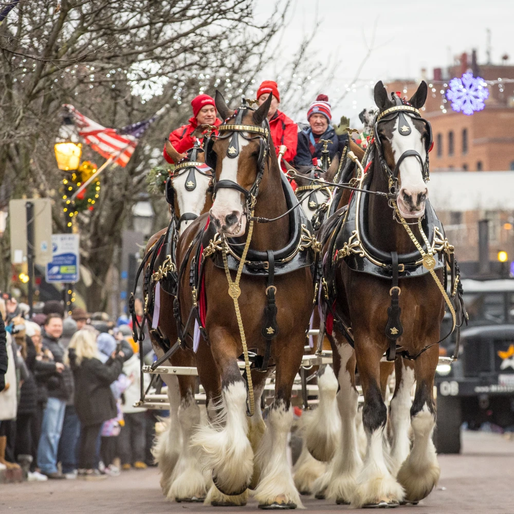 Military Bowl Parade