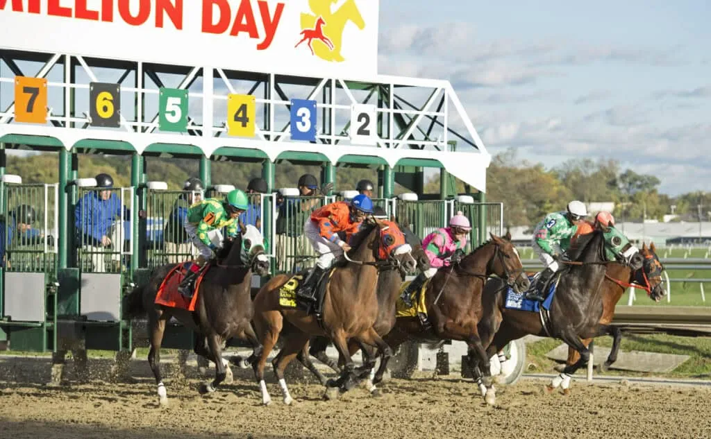 Maryland Million Day