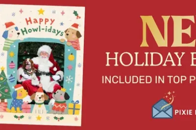 Santa Photos @ Annapolis Mall