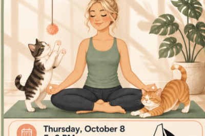Kitten Yoga